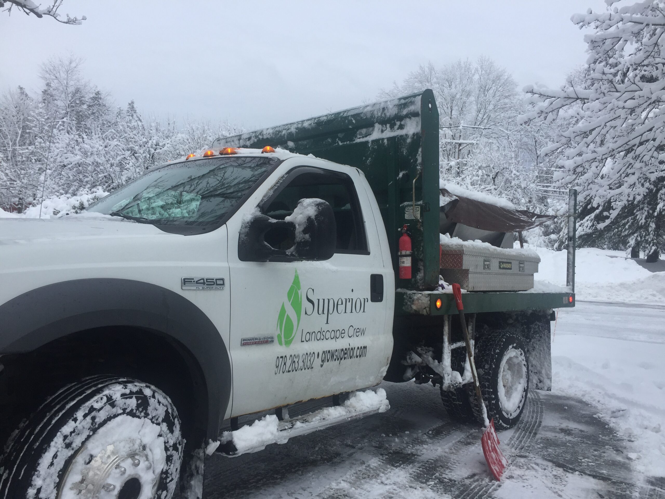 Snow450